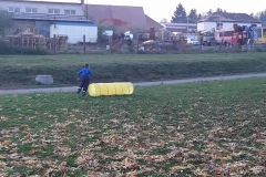 73040688_1138863446323612_215963458292678656_n