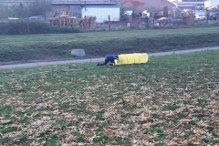 73250460_480900849435746_7162792095697076224_n