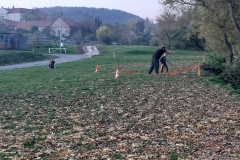 73364229_1478215805661167_5090818272023019520_n