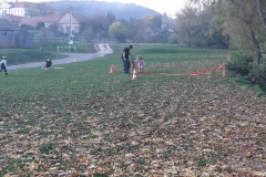 74604677_524342325025537_4140235451279605760_n