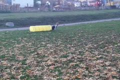 74889343_434023360585720_1731865314943041536_n