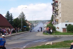 mokra2010v029
