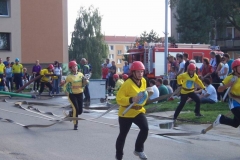 mokra2010v036