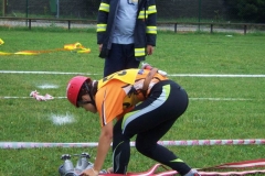 okresnikolo2010v020