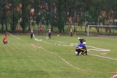 okresnikolo2010v032