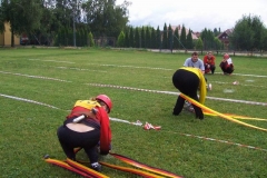 okresnikolo2010v039