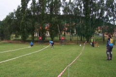 okresnikolo2010v050