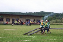 okresnikolo2010v053