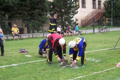 okresnikolo2010v062
