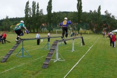 okresnikolo2010v077