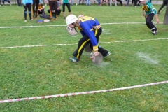 okresnikolo2010v127