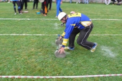 okresnikolo2010v141