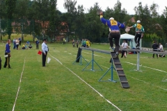 okresnikolo2010v145