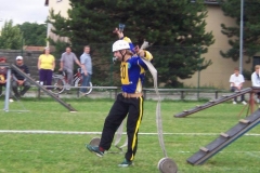okresnikolo2010v161