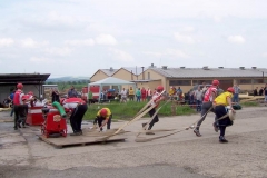 okrsekhabr2010v029