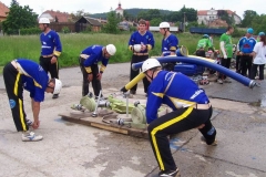 okrsekhabr2010v043