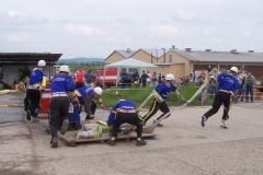 okrsekhabr2010v046