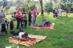 palenicarod2010v08