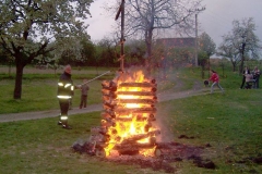 palenicarod2010v33