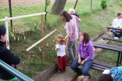 carodky2011v028