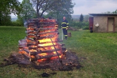 carodky2011v055