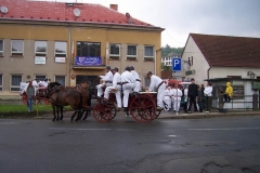 krtiny2011v008