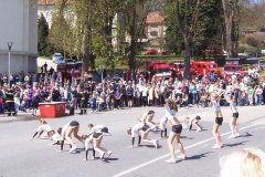 krtiny2010v31