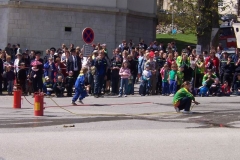 krtiny2010v38