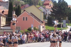 poutkrtiny2012v029