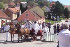 poutkrtiny2012v031