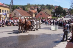 poutkrtiny2012v035