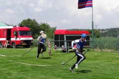 radslavice2013v004