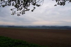 rekord2010v19