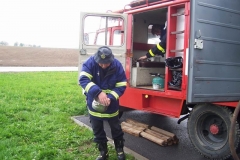 rekord2010v31
