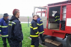 rekord2010v33