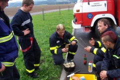 rekord2010v34