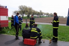 rekord2010v39