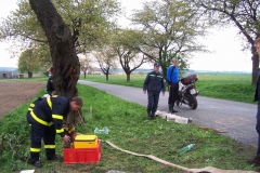 rekord2010v52
