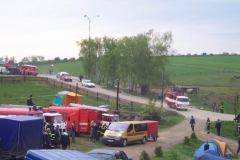 rekord2010v65