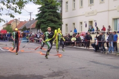 saratice2012v003