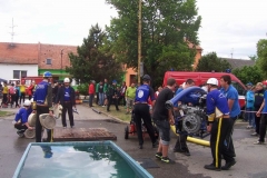 saratice2012v009