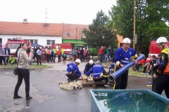 saratice2012v010