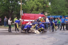 saratice2012v011