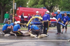 saratice2012v019