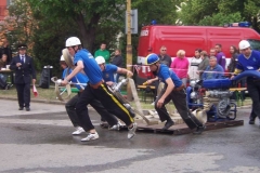 saratice2012v021