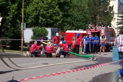saratice09v004