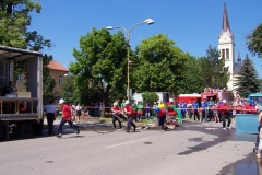 saratice09v005