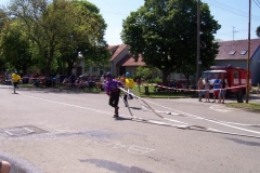 saratice09v010