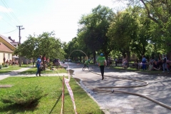 saratice09v016