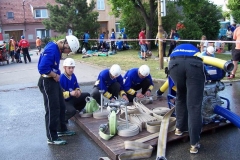 saratice09v018